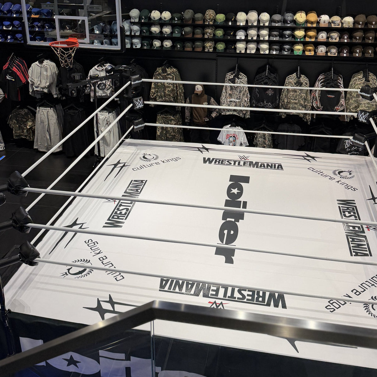 PROLAST boxing ring with white ropes and a printed canvas, seen from a balcony