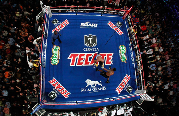 Pro fight, MGM Grand