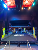 Prolast 10' x 10' Boxing Ring 1 Foot | Made in USA - PROLAST
