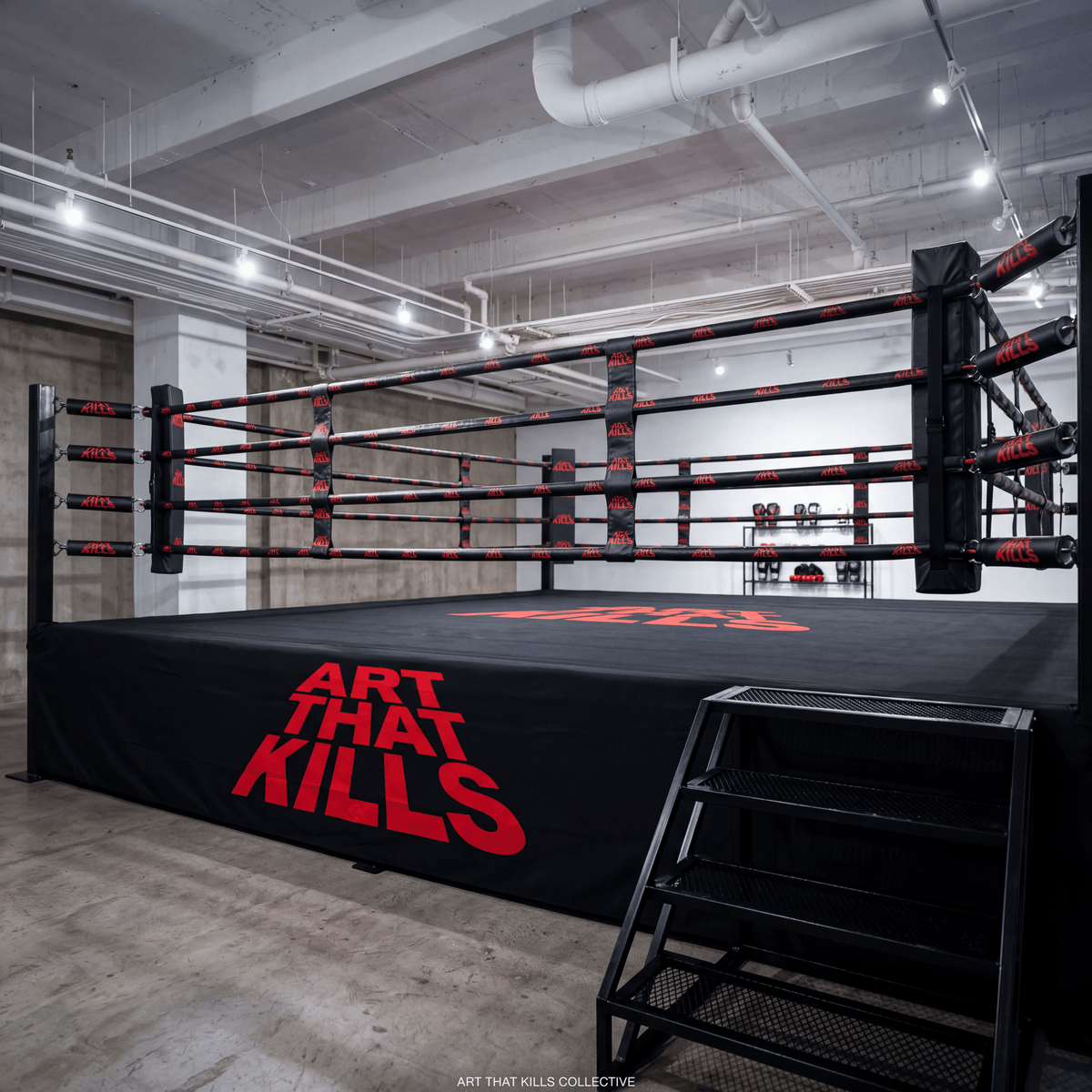 PROLAST 10 x 10 ft boxing ring, 1 ft platform: black ring, black and red ropes, ART THAT KILLS apron and steel steps