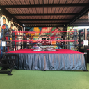 Prolast 8' x 8' Boxing Ring 2 Foot | Made in USA - PROLAST