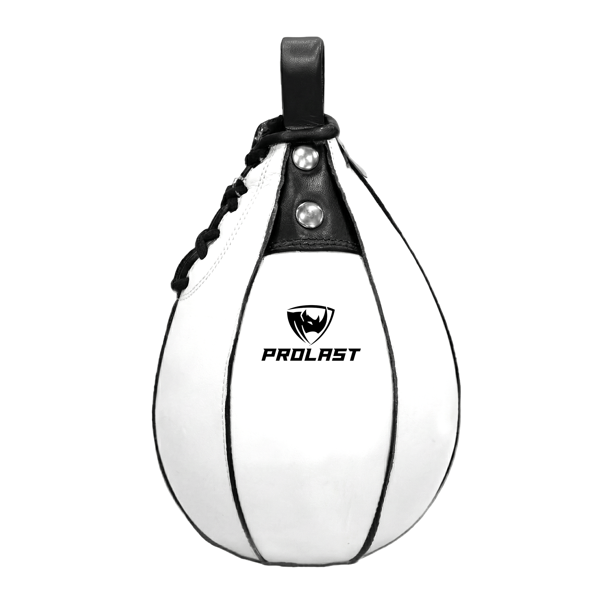 Prolast Leather Speed Bag – PROLAST