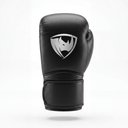 PROLAST SFX Series FS - SFX Deluxe Boxing Gloves - PROLAST