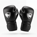 PROLAST SFX Series FS - SFX Deluxe Boxing Gloves - PROLAST